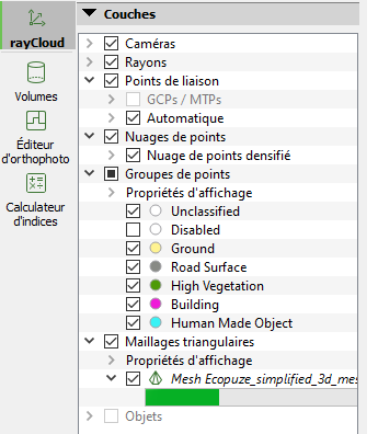 pix4dmapper raycloud